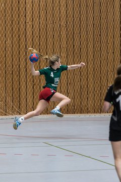 Bild 139 - Damen HSG Kremperheide/M�nsterdorf - Suchsdorfer SV : Ergebnis: 39:22